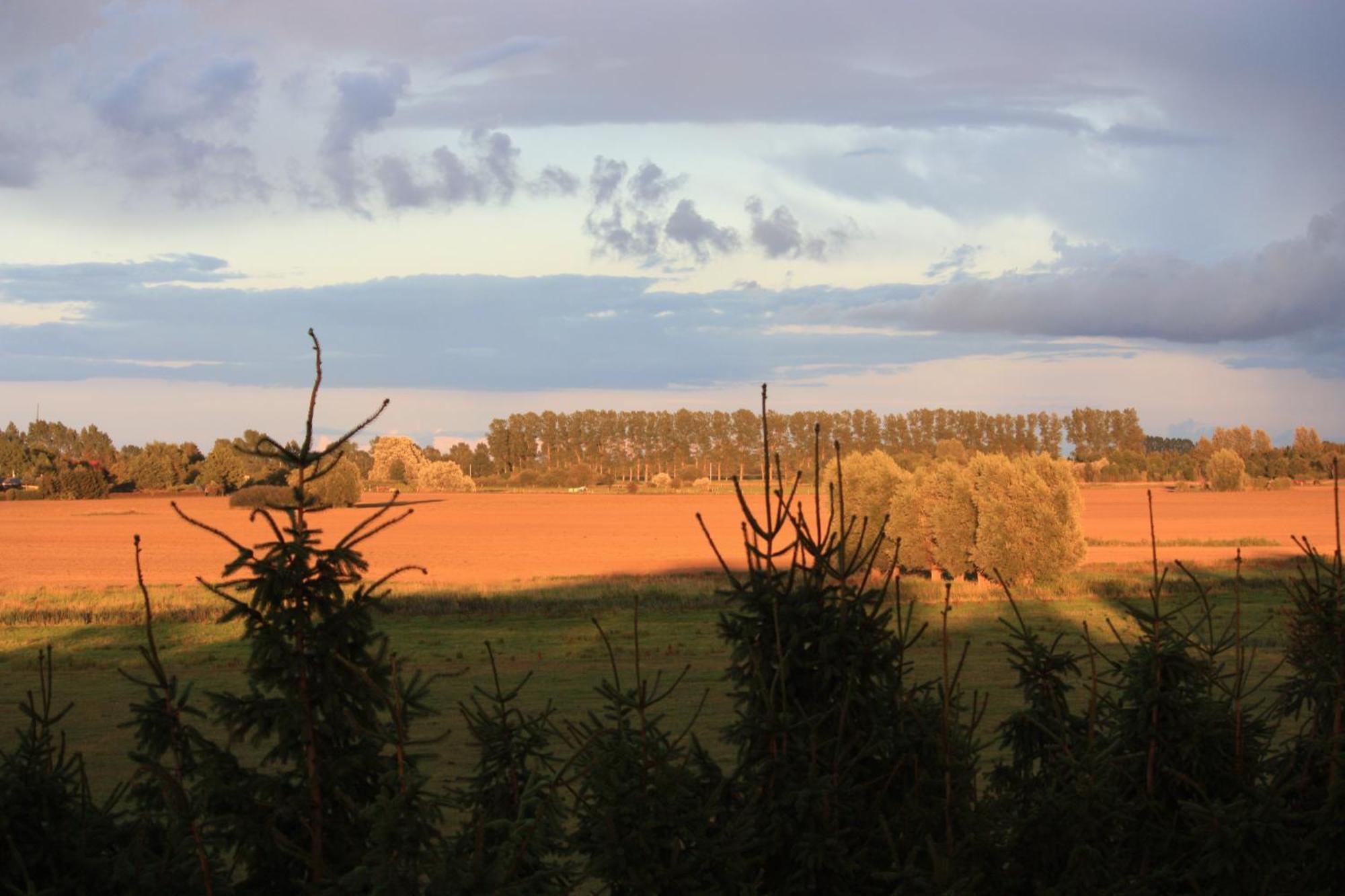 Pension Vorm Darss Hirschburg Exteriér fotografie